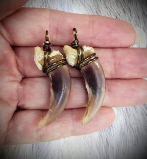 Image of Wolf Claw Necklace