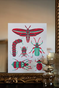 Image 1 of Friendly Bugs Risograph Print