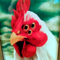 Image 1 of Bitchin Chicken III - Special Edition - Framed Metal Print