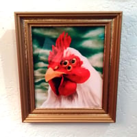 Image 2 of Bitchin Chicken III - Special Edition - Framed Metal Print