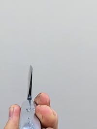 Image 4 of Lunar chef