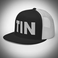 Image 3 of TIN Flat Mesh Hat 2