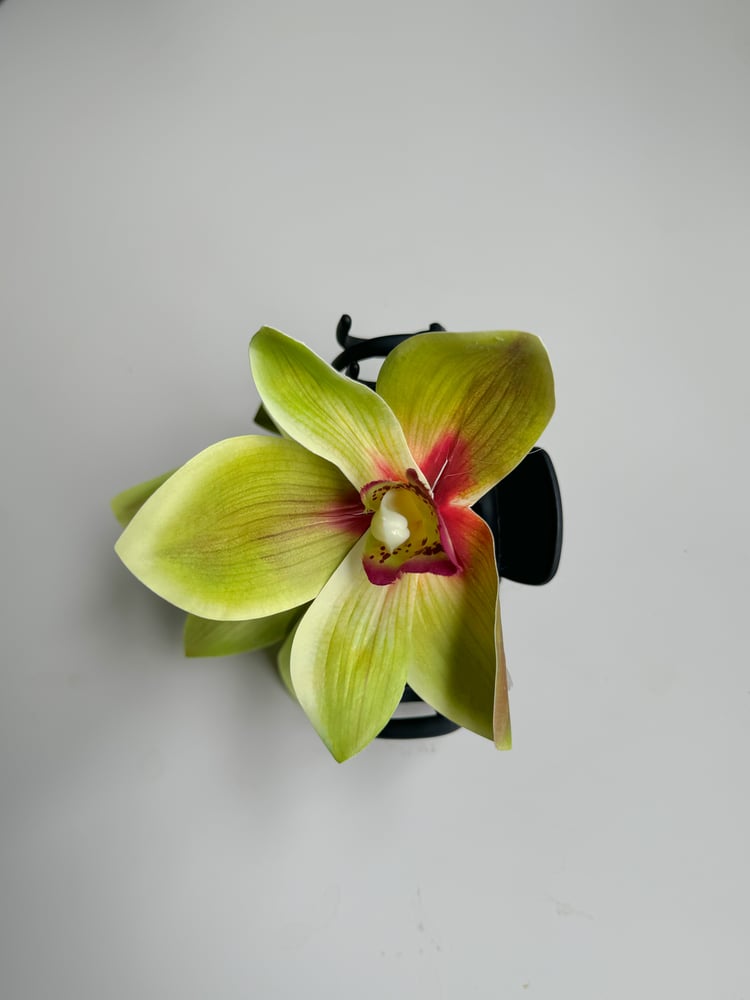 Image of  lime orchid claw clip