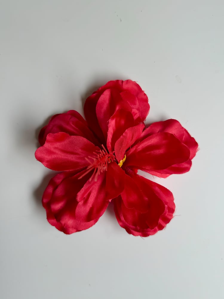 Image of red hibiscus clip