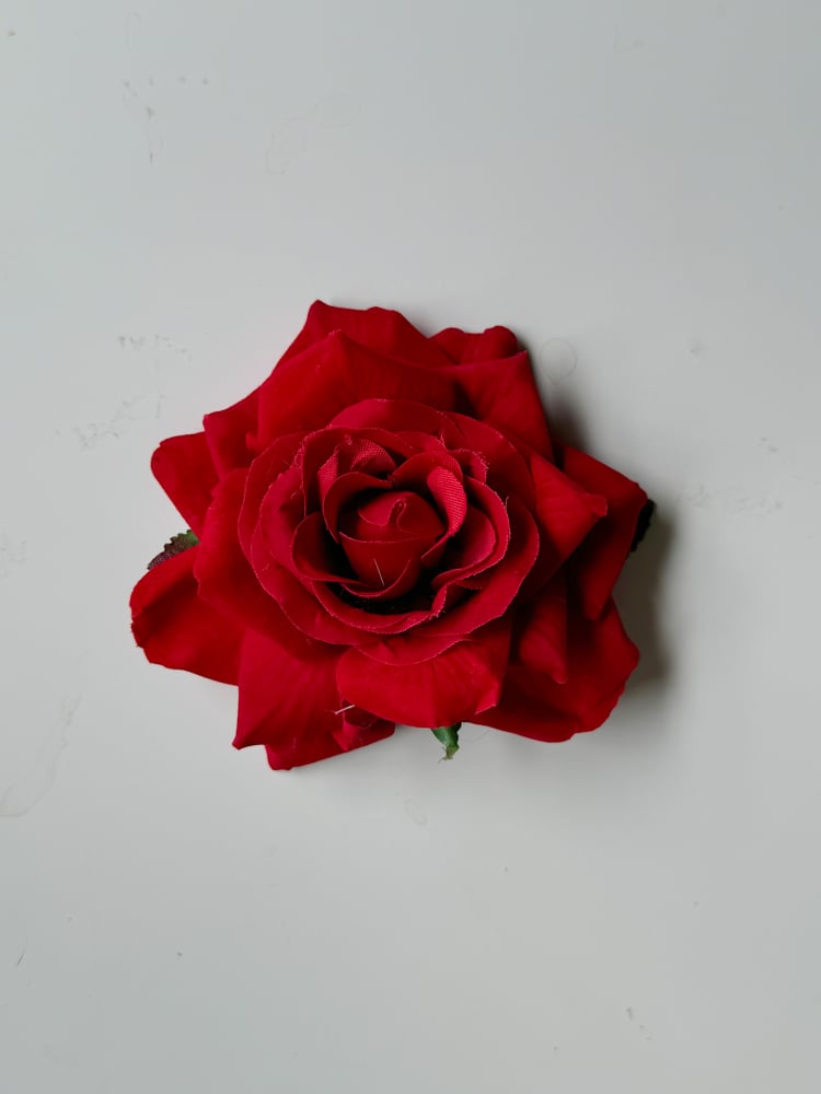 Image of red rose clip