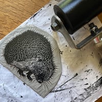 Image 4 of Hedgehog