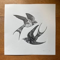 Image 1 of Swallows - black ink