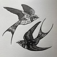 Image 2 of Swallows - black ink