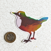 Image 1 of White-throated Dipper - Sticker