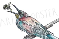 Image 2 of Rainbow Bee Eater's Lunch, Fine Art Giclée Print