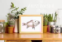 Image 1 of A Gasping Goldfish, Fine Art Giclée Print