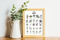 Image 1 of Tea Plants, Fine Art Giclée Print