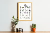 Image 2 of Tea Plants, Fine Art Giclée Print