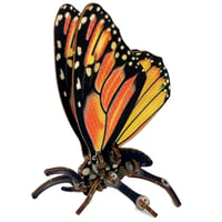 Image 1 of JCR ARTHROPODA : BUTTERFLY