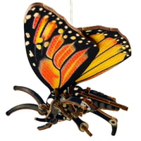 Image 3 of JCR ARTHROPODA : BUTTERFLY