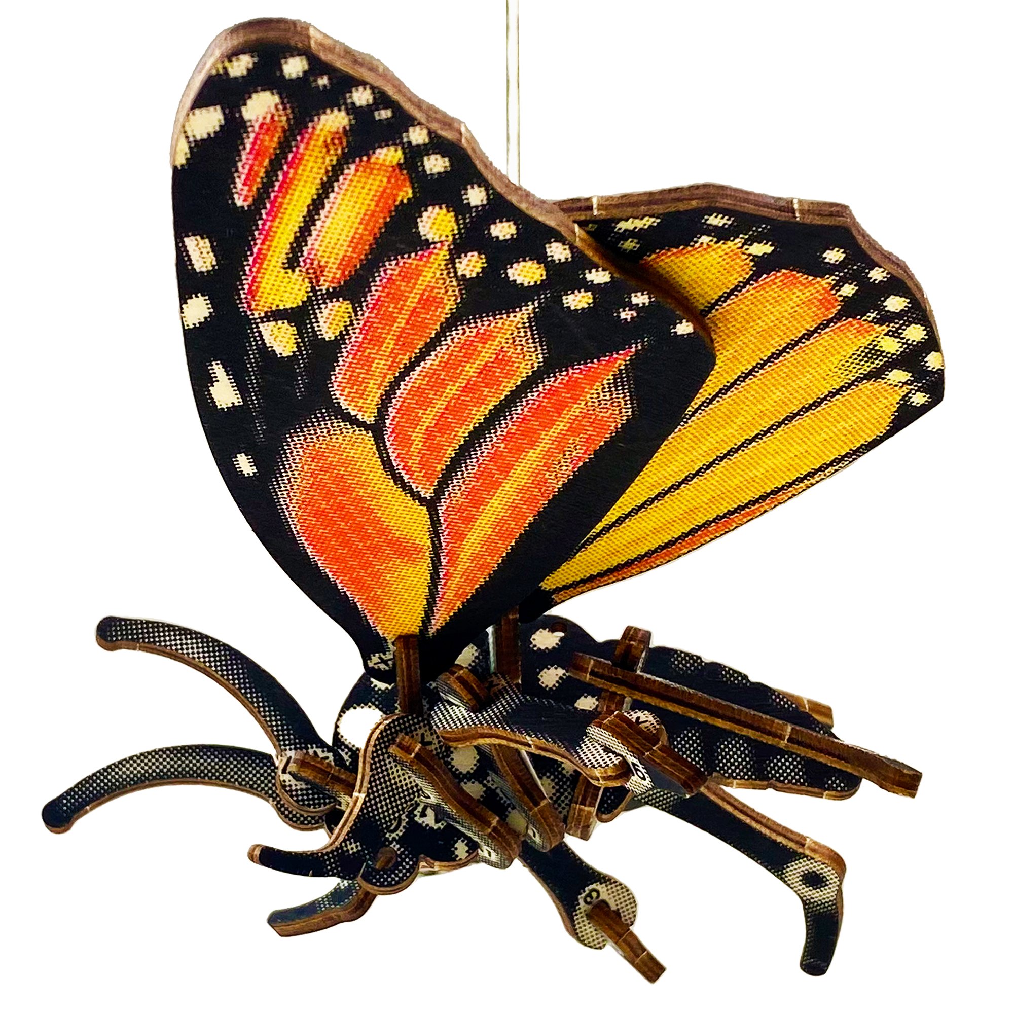 JCR ARTHROPODA BUTTERFLY JCR WORKSHOP jcr-arthropoda-butterfly-jcr-workshop