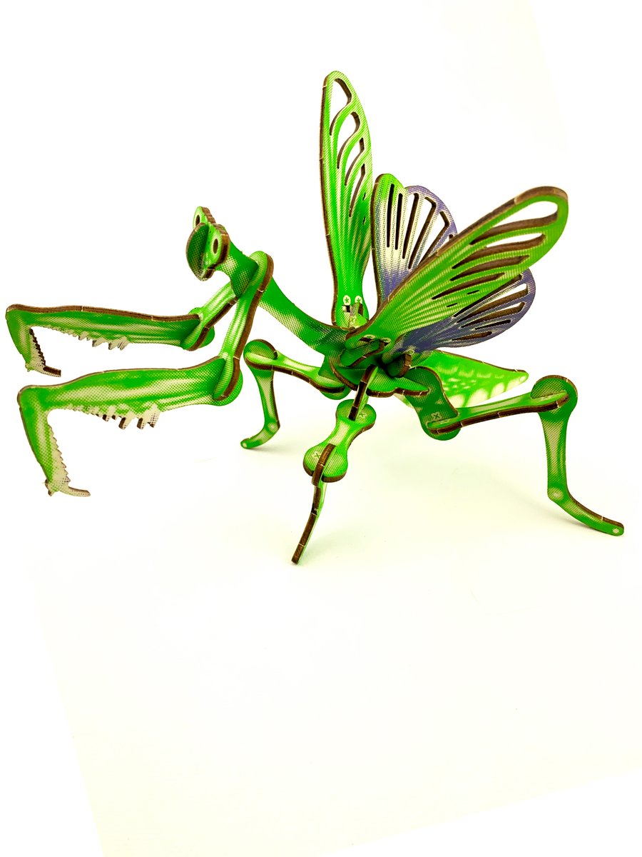 かみ　crooja mantis 148cm 23-24 CROOJA クロージャ スノーボード 板 メンズ グラトリ MANTIS