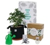 A Pot for Pot™ Grow Kit – 5 Gallon