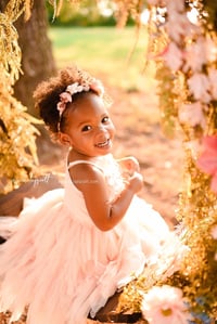 Image 2 of Summer Floral Hoop Mini Sessions