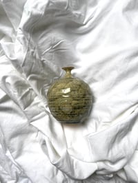 Image 4 of Pomme