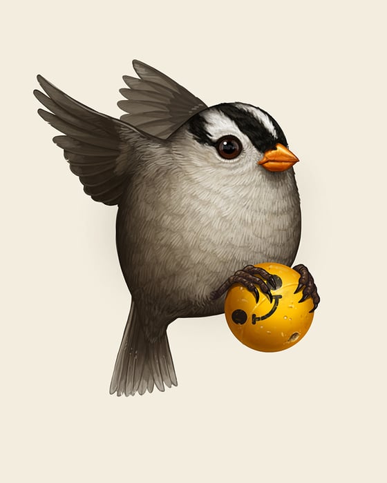 Image of White-crowned Sparrow Companion