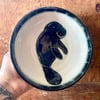 Manatee Bowl 