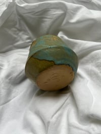 Image 4 of Goldy