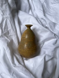 Image 4 of Courge dorée 