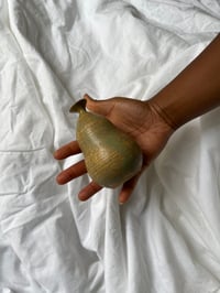 Image 2 of Courge dorée 
