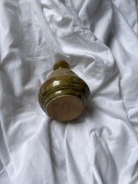 Image 3 of Vert brûlé 