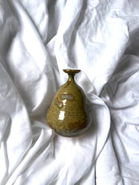 Image 1 of Vert brûlé 