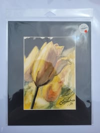 Image 2 of Tulip