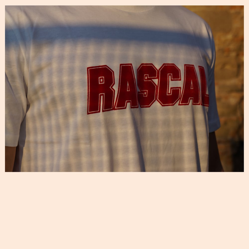 Velvet Logo