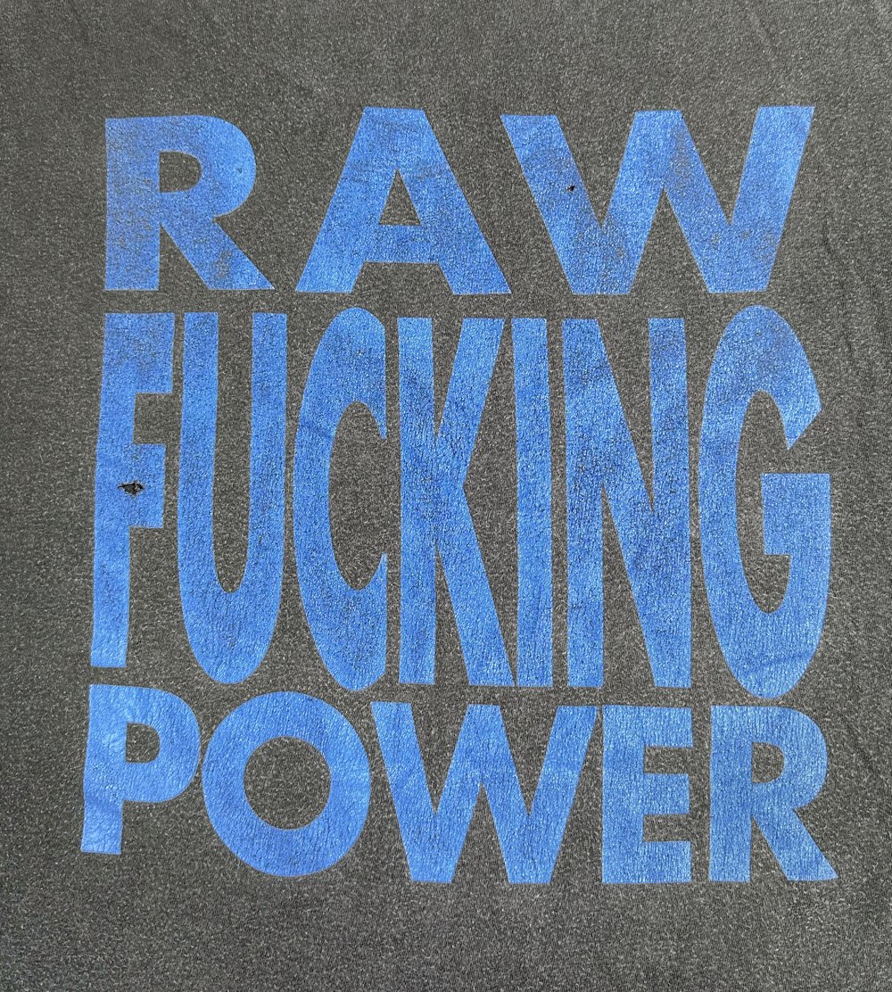 *Rare* Iggy And The Stooges 1991 ‘Raw Fucking Power’ T-Shirt