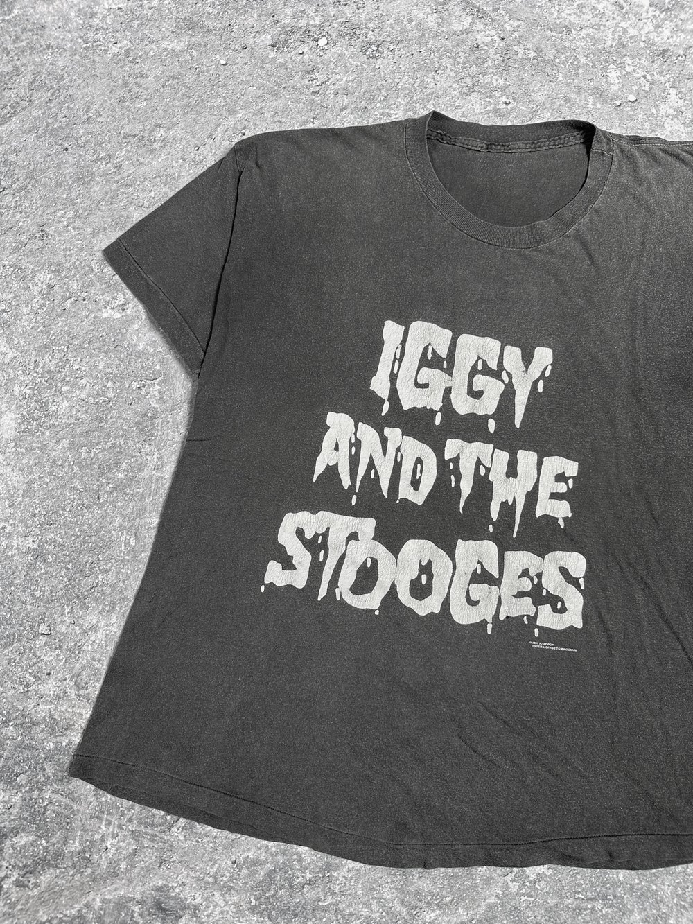 *Rare* Iggy And The Stooges 1991 ‘Raw Fucking Power’ T-Shirt