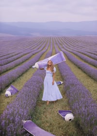 Lavender Field Mini Sessions