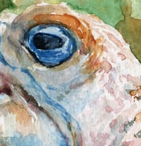 Image 2 of "Knock, Knock" -  PRINT