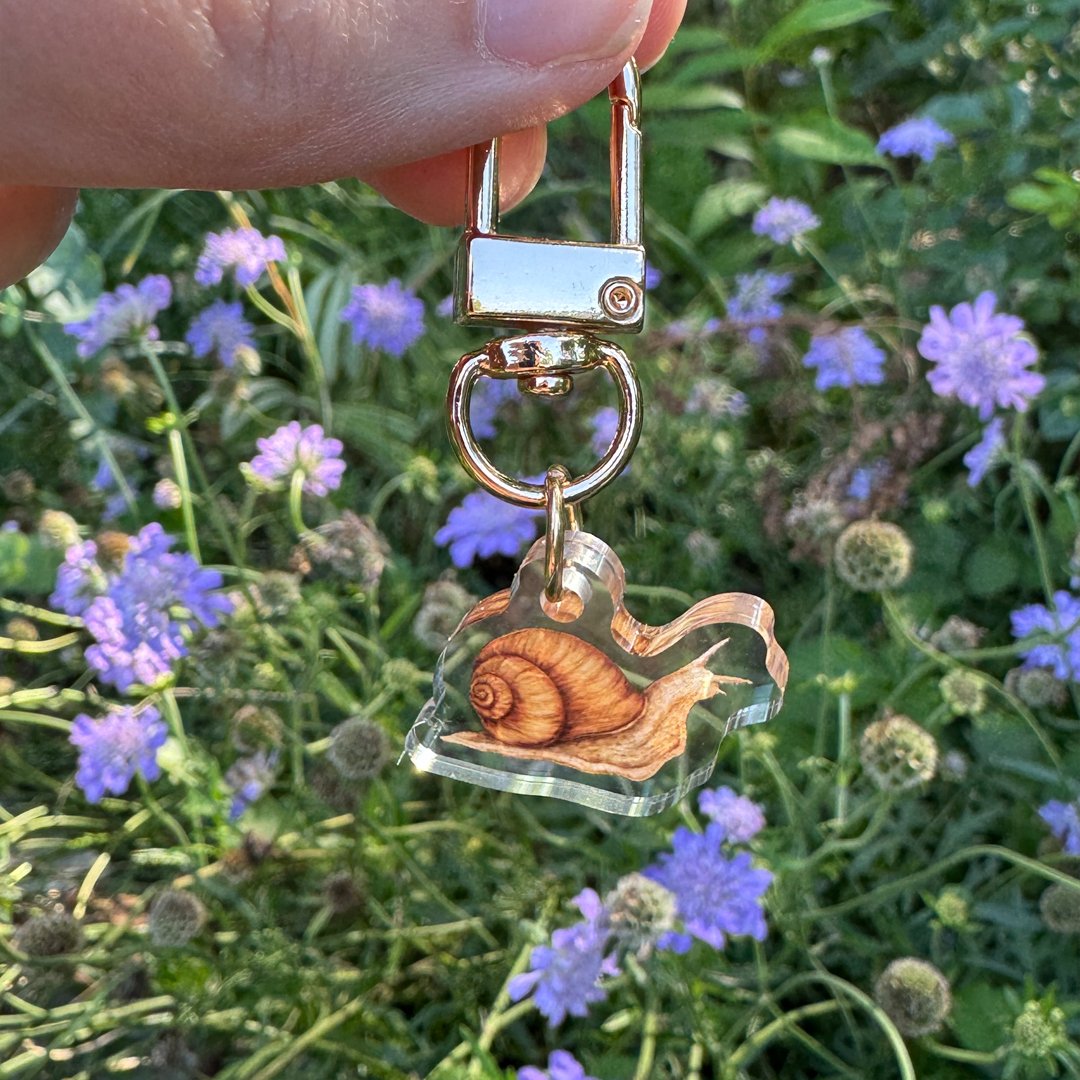 Image of Wee Snail Keychain