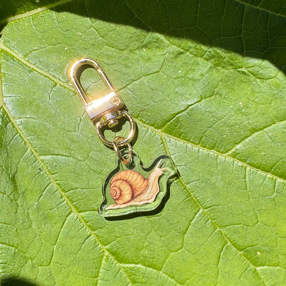 Image of Wee Snail Keychain