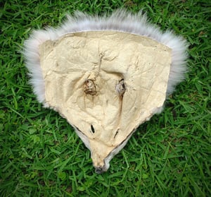 Image of Grey Wolf Head Wallhanger