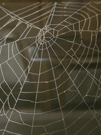 Image 5 of Beautiful Preserved Spider Web Glass topped corner Table