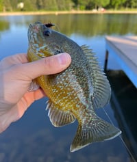 Image 6 of Fleeger’s Crawfish Bugger