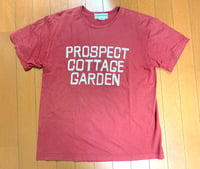 Image 1 of Sassafras Japan red graphic print t-shirt, size M