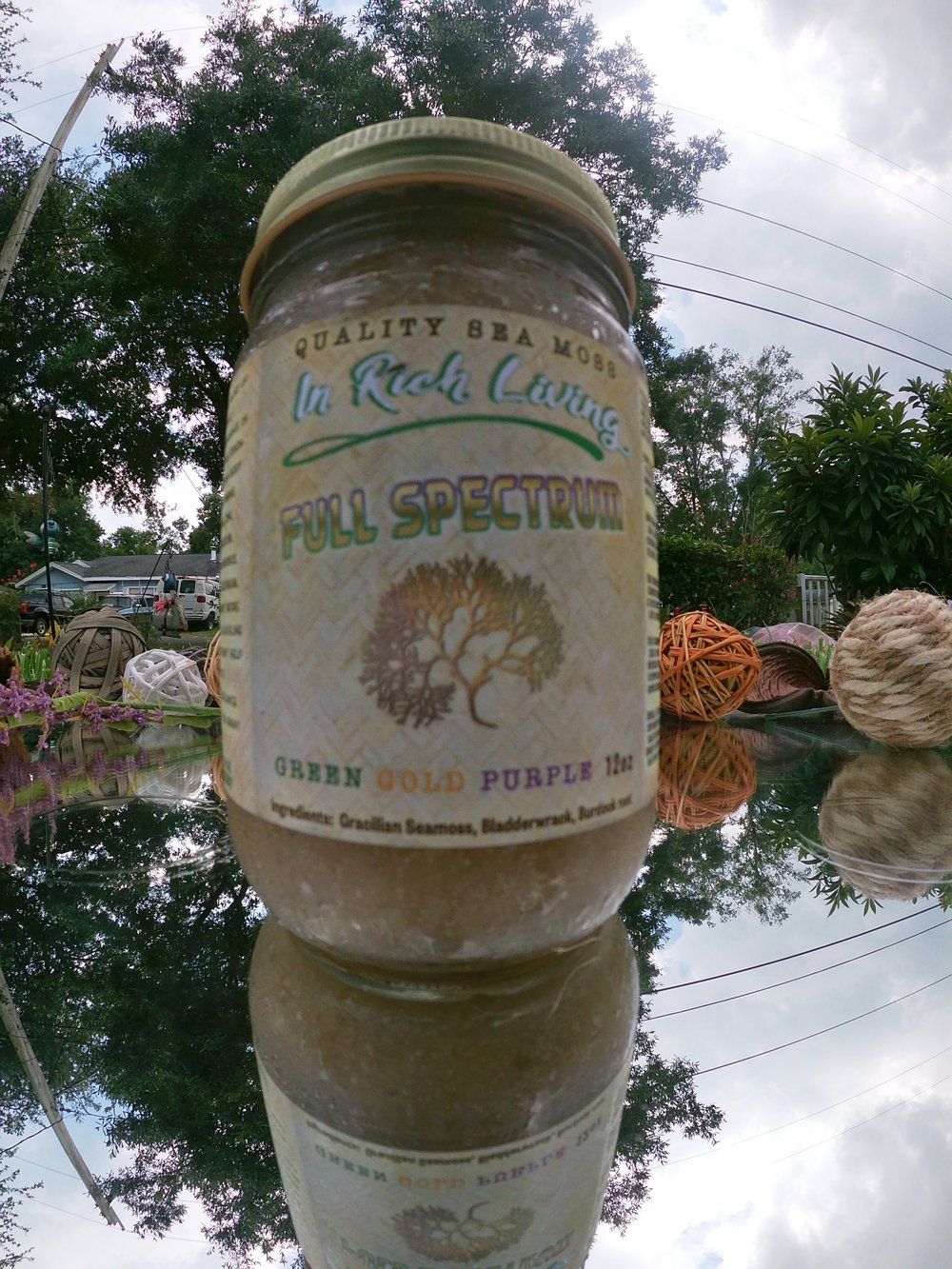 Full Spectrum Sea moss