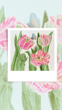 Image 13 of Parrot Tulips- Poster Print