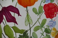 Image 12 of Garden Fireworks- Poster Print