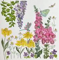 Image 17 of Foxglove Garden- Poster Print