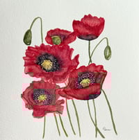 Image 13 of Pop of Poppies- Poster Print