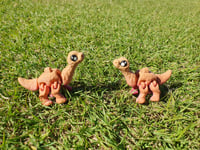 Image 1 of Mini Brachiosaurus