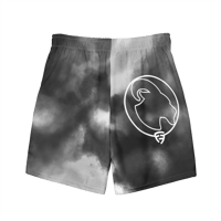 Image 2 of GRAY FR$H TRUNKS